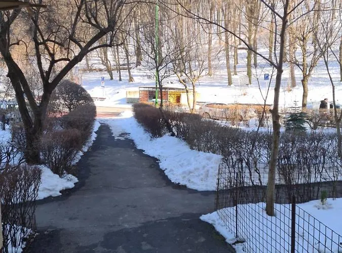 Artstudio Daire Braşov